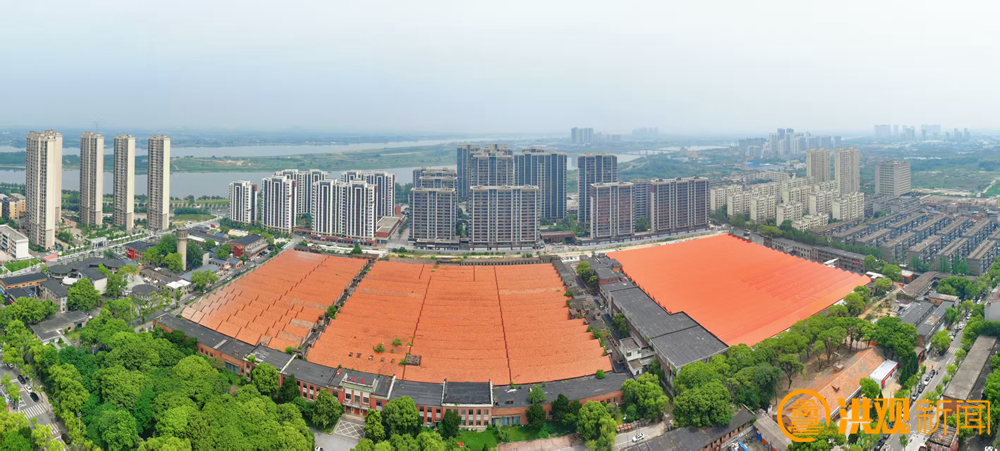 南昌发布：产投江纺“老厂房”开出“新花样”！南昌将新增一家花卉综合市场